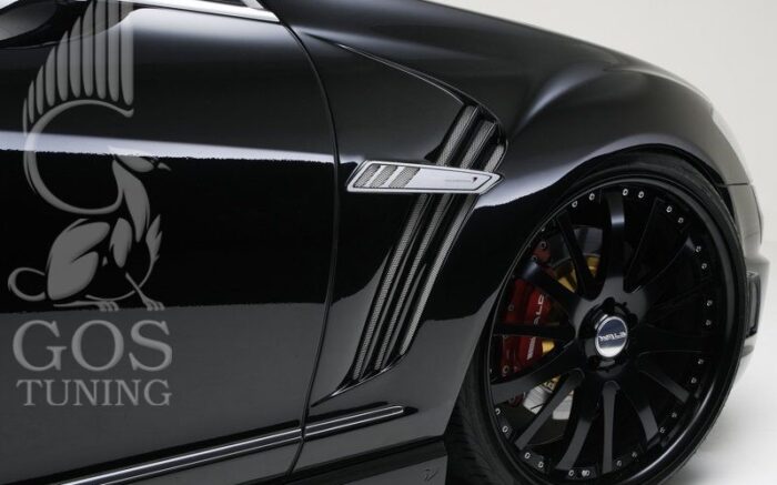 Крылья «Wald Black Bison» на Mercedes S-сlass